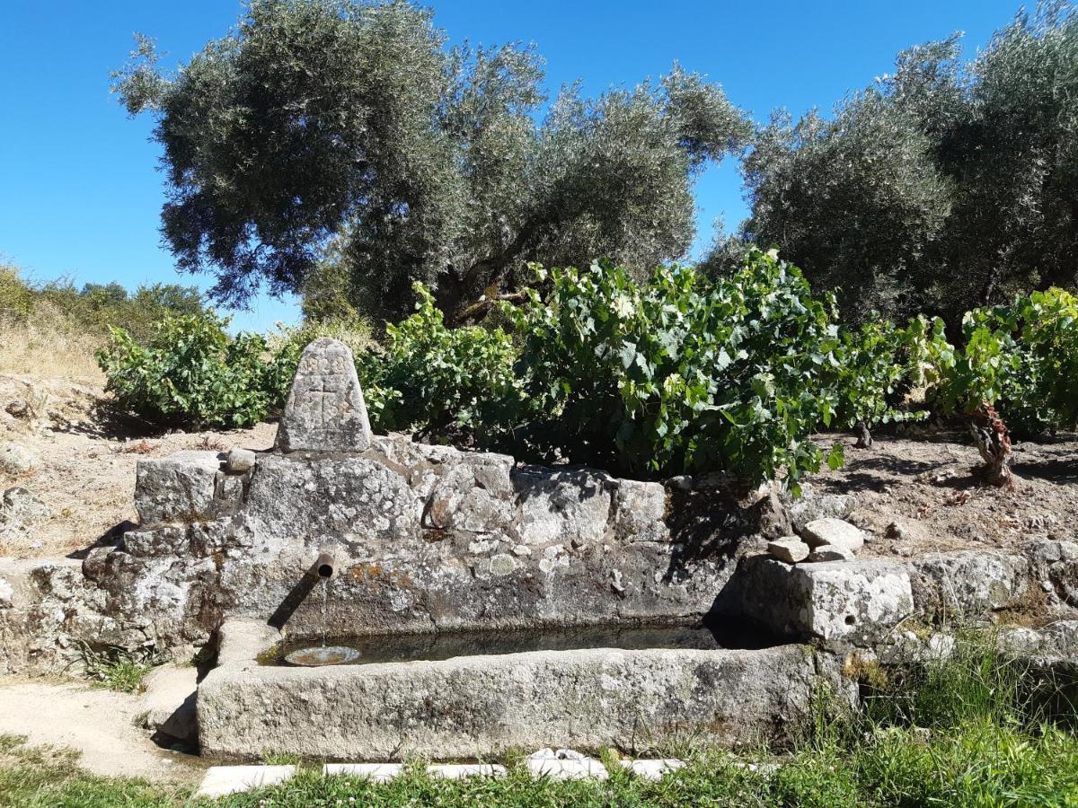 Casa Cristina Villa Miranda del Castañar Dış mekan fotoğraf